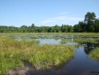 img_8095.jpg