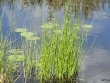 img_8146.jpg