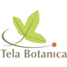 Tela-botanica